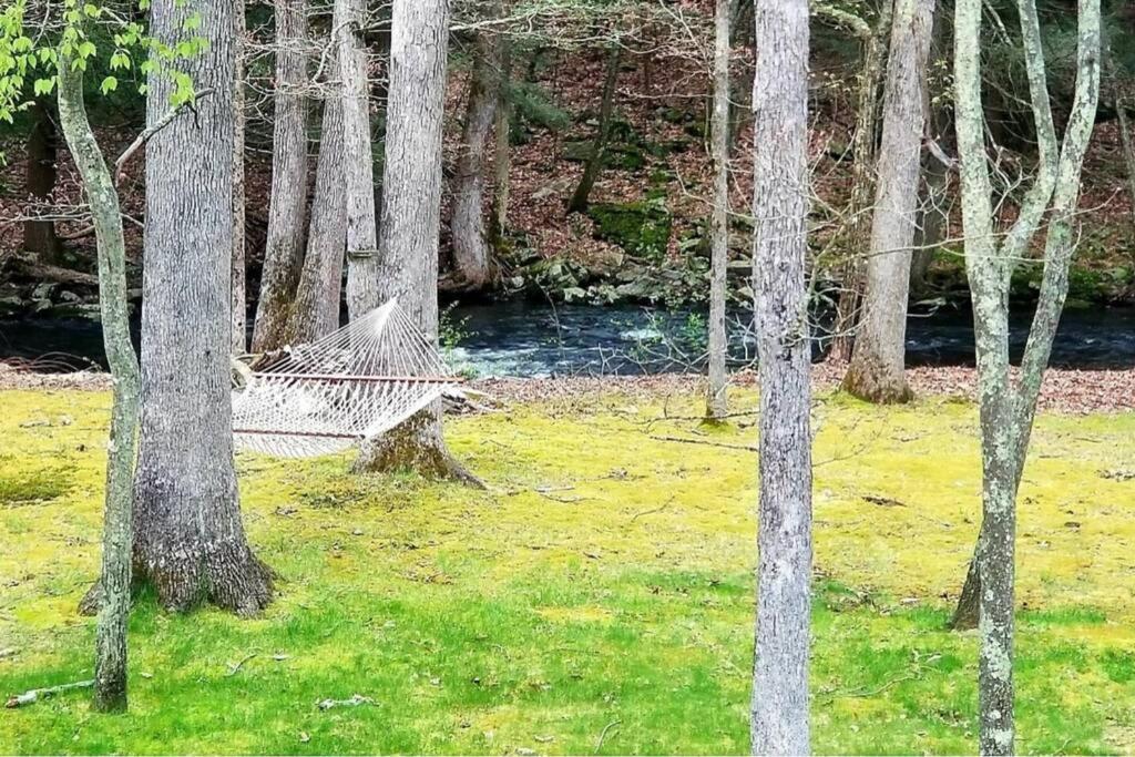 *Amenity-Filled Waterfront Oasis @Saw Creek Estates Near Waterfalls And Hiking* إيست سترودسبورغ المظهر الخارجي الصورة