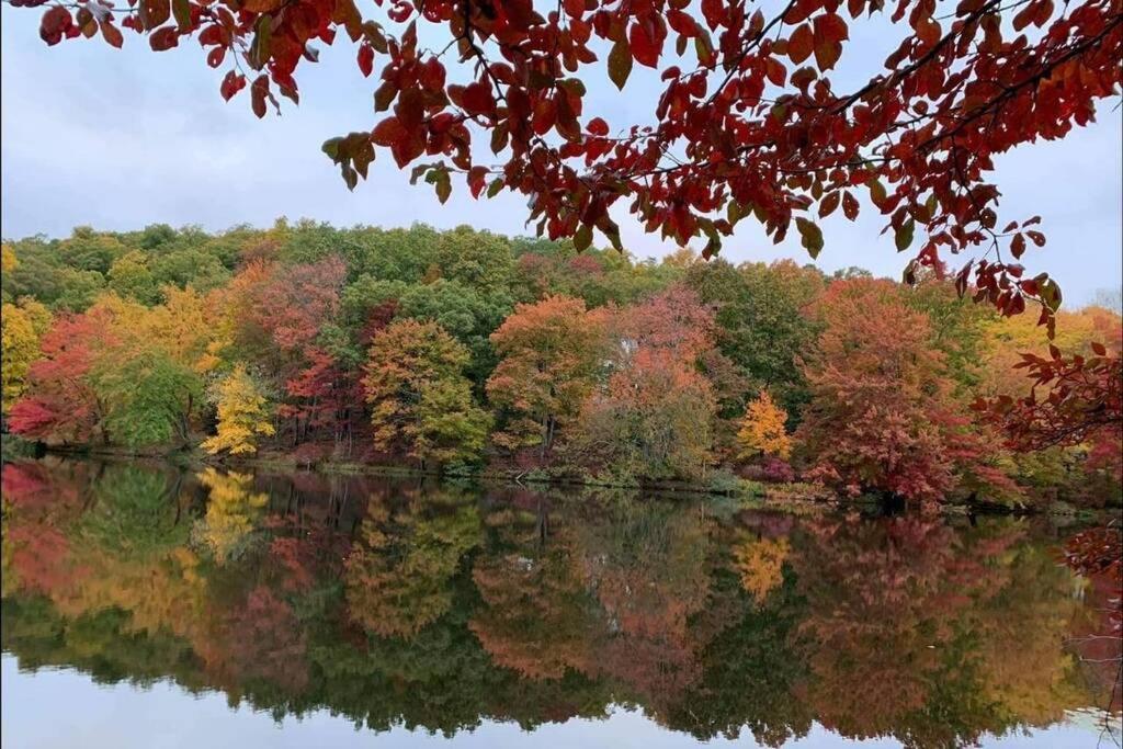 *Amenity-Filled Waterfront Oasis @Saw Creek Estates Near Waterfalls And Hiking* إيست سترودسبورغ المظهر الخارجي الصورة